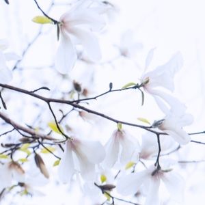 Meet your Posher, Tamar